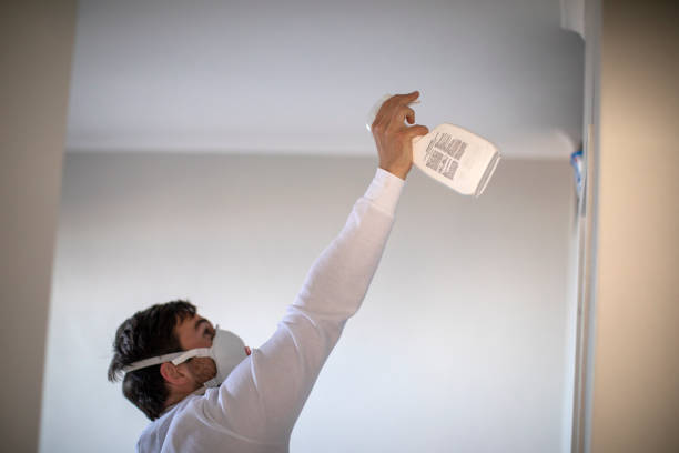 Best Mold Damage Repair  in Biscayne Park, FL