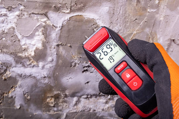 Best Mold Removal Company Near Me  in Biscayne Park, FL