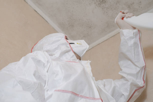 Best Certified Mold Removal  in Biscayne Park, FL